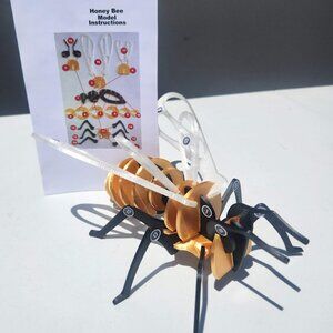 Bee Model Honeybee 3D Puzzle Honey Bees Classroom Science STEM Craft Insect Bugs